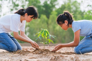 woman planting tree in garden. concept eco earth day