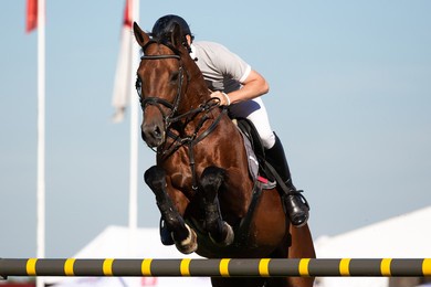 horse jumping, equestrian sports, show jumping event themed photo.,