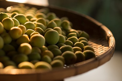 japanese plums used for making  umeshu ( plum wine ) or plum syrup