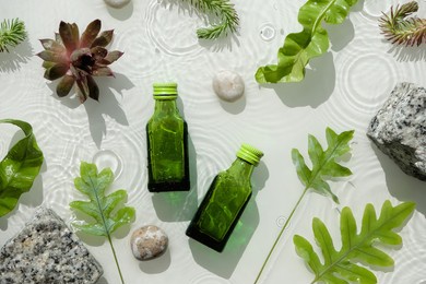 water background, cosmetic skincare moisturizer in green bottles. dark glass bottles. water surface, splashes, rings, granit stones. wet green exotic leaves. natural sunlight, long shadows.