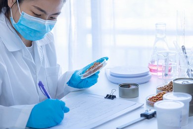 quality control personnel are inspecting the quality of wet pet food. tuna cat food in can. quality of wet and dry pet food. quality control process in pet food industry.