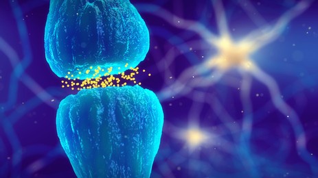 3d illustration of synaptic transmission - one nerve cell (neuron) communicating with another by releasing neurotransmitters. the synapse(neuronal junction) is the gap between two neurons.
