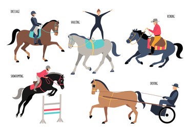 collection of different gaits of horses and equestrian sports: dressage, show jumping, reining, driving, vaulting isolated on white background. colorful vector illustration in flat cartoon style.