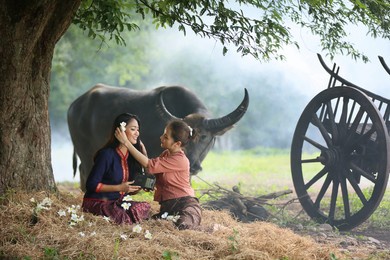 two asian woman wearing traditional thai esan custom style culture sitting in field, while listening  vintage style radio against buffalo and farm background.