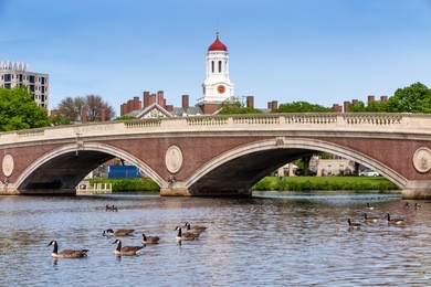 john w. weeks bridge and clock tower over charles river in harvard university campus in boston with trees, boat and blue sky.