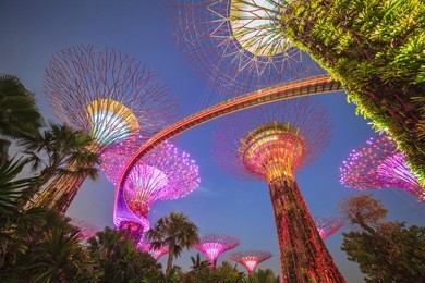 singapore gardens by the bay, singapore city at night