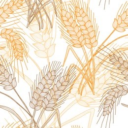 elegant seamless pattern with decorative wheat plants, design element. floral pattern for invitations, greeting cards, scrapbooking, print. agriculture theme.