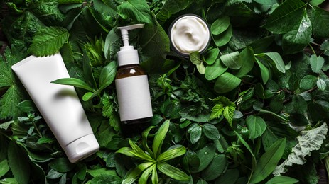 cosmetic skin care products (body lotion, hair shampoo, face creme) on green leaves as background, top view, copy space. natural eco beauty and organic green skin care concept.