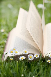 spring meadow with flowers, with an open book