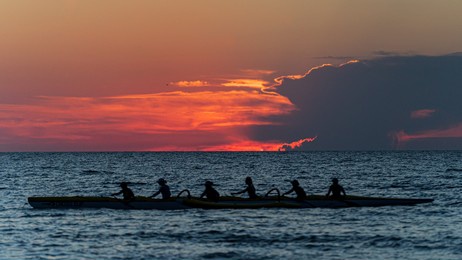 team rowing crew in silhouette on water against pastel sunset sky at dusk.
