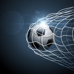 soccer ball in goal. vector