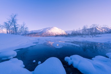 the natural scenery in winter, a popular travel destination in russia, the forest natural scenery of murmansk.
