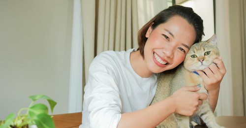 close up beautiful asian woman smile and embrace the charming adorable english cat during working household chores in wash room for animal lover and lifestyle people concept