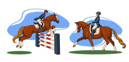 horseback riding. dressage and show jumping. set. a woman riding a horse performs a dressage element and jumps over an obstacle. vector illustration for books, logo design, postcards.