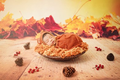 baby newborn in autumn season greetings wearing fox mohair hat and orange brown swaddling wrap sleeping on wooden basket with autumn background.