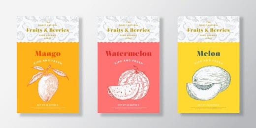 fruits and berries pattern label templates set. vector packaging design layout collection. modern typography banner with hand drawn mang, melon and watermelon sketches background. isolated.
