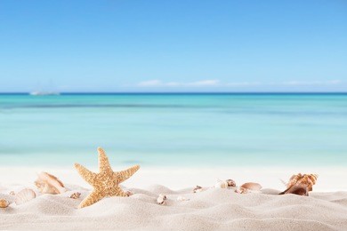 summer concept with sandy beach, shells and starfish.