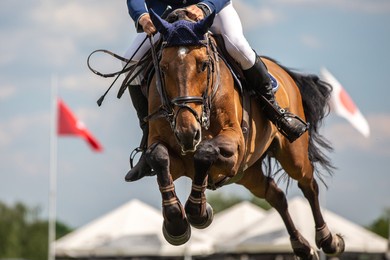 horse jumping, equestrian sports, show jumping event themed photo.