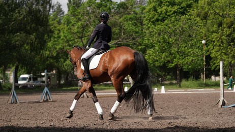 young girl rider on brown horse in equestrian sport competition. horse riding on the arena. dressage test. equestrian competitions, horse detour.girl jockey on a horse on a sunny summer day