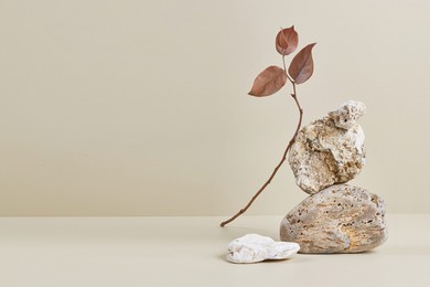 abstract nature scene with composition of stones and dry branch. neutral beige background for cosmetic, beauty product branding, identity and packaging. natural pastel colors. copy space, front view.
