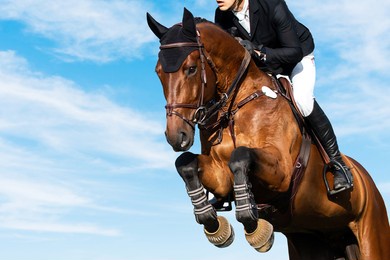 horse jumping with blue sky background, show jumping, equestrian sports, horse riding, 