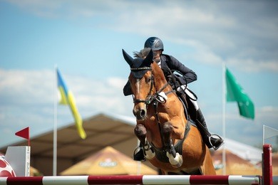 equestrian sports, horse jumping, show jumping, horse riding themed photo