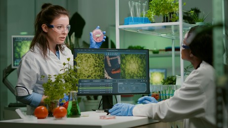two scientists talking about vegan meat sample typing biotechnology expertise on computer. medical team researching vegetareian food modified genetically working in chemistry laboratory