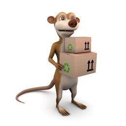 3d render of a cartoon meerkat delivers some cardboard boxes
