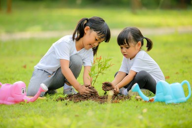 two cute little girl asia planting young tree on black soil in the park.which increases the development and enhances learning skills as save world new life,environmental conservation concept.