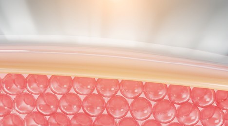 3d skin layer of the skin cell, cell microscope. skin up. 3d rendering.