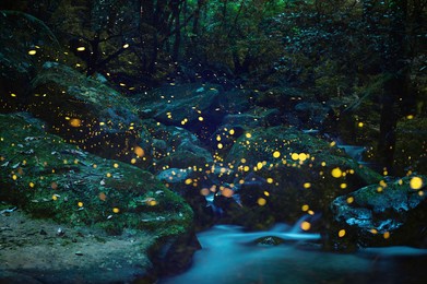 fireflies flying around beautifully on summer nights