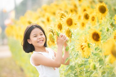 happy little asian girl having fun among blooming sunflowers under the gentle rays of the sun. child and sunflower, summer, nature and fun. summer holiday. little girl smelling a sunflower.