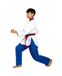 black red belt taekwondo karate kid athlete teenager show traditional fighting poses poomsae in sport uniform dress, 15 years old boy, studio lighting white background isolated full length profile