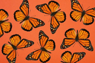 bright orange monarch butterflies on a background of orange cardboard. abstract pattern of colorful tropical butterflies