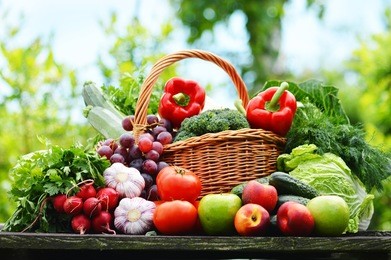 fresh organic vegetables in wicker basket in the garden.