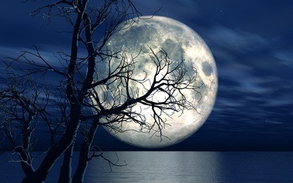 3d landscape background with moon over the sea with dead tree