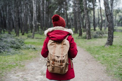 back view of backpacker caucasian woman walking in forest during winter or autumn season. lifestyle and nature