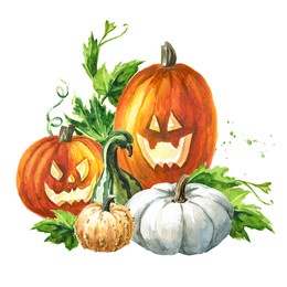 halloween  pumpkins . hand  drawn watercolor illustration, isolated on white background