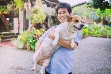 happy fatty dog and owner