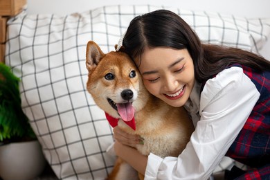 close up asian woman sitting hugging shiba inu dog in living room, happy girl playing love pet concept
