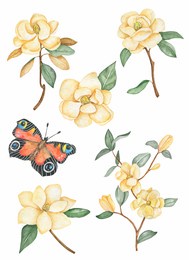hand drawn watercolor set.white magnolia and butterfly.illustration for card.