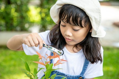 young girl is looking at tree leaves through magnifier, outdoor shoot