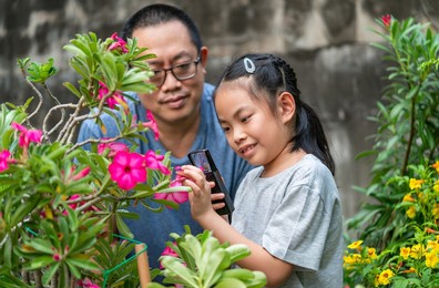 asian child girl examining a beautiful flower in a garden with father, using magnifying glass.
