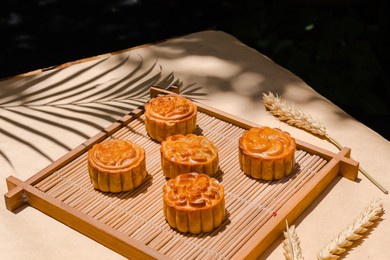 the typical moon cake for the mid-autumn festival, taken outdoors, with natural light and shadow.