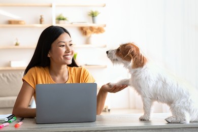 adorable long coat small dog giving paw his female owner, happy asian woman independent contractor petting with her best friend jack russel puppy while working from home, using laptop, copy space