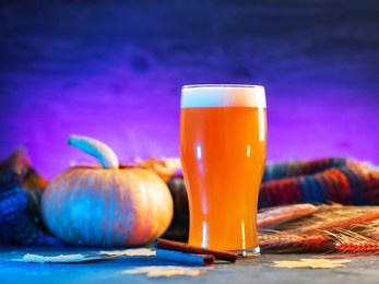 a glass of craft pumpkin beer ale. fresh pumpkin, knitted colorful autumn warm scarf, rye ears, cinnamon sticks and neon background
