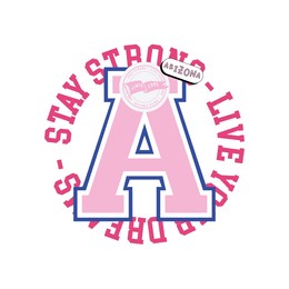 retro college varsity font typography arizona slogan vector print.