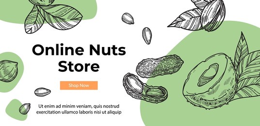 nuts and healthy ingredients in online store with assortment of useful food and meal. nutrition and dieting, ecologically friendly almond. website or webpage template, landing page, vector in flat