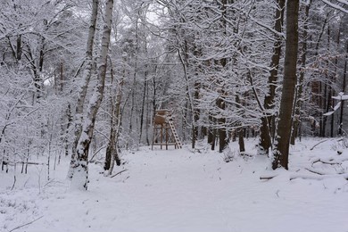 high seat for hunters in winter in a mixed forest with lots of snow