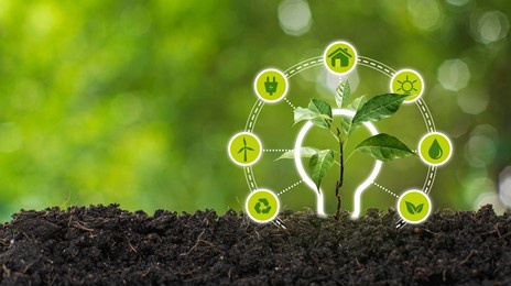 renewable and sustainable energy sources concept.green trees planted in perfect soil, agricultural development research. green plant farming technology background.